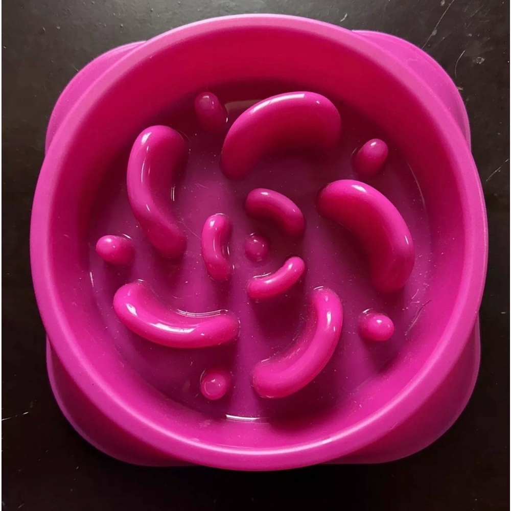 Mateey Life Pet Slow Feeder Bowl